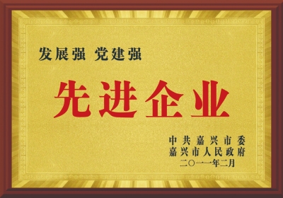 嘉興市先進企業(yè)